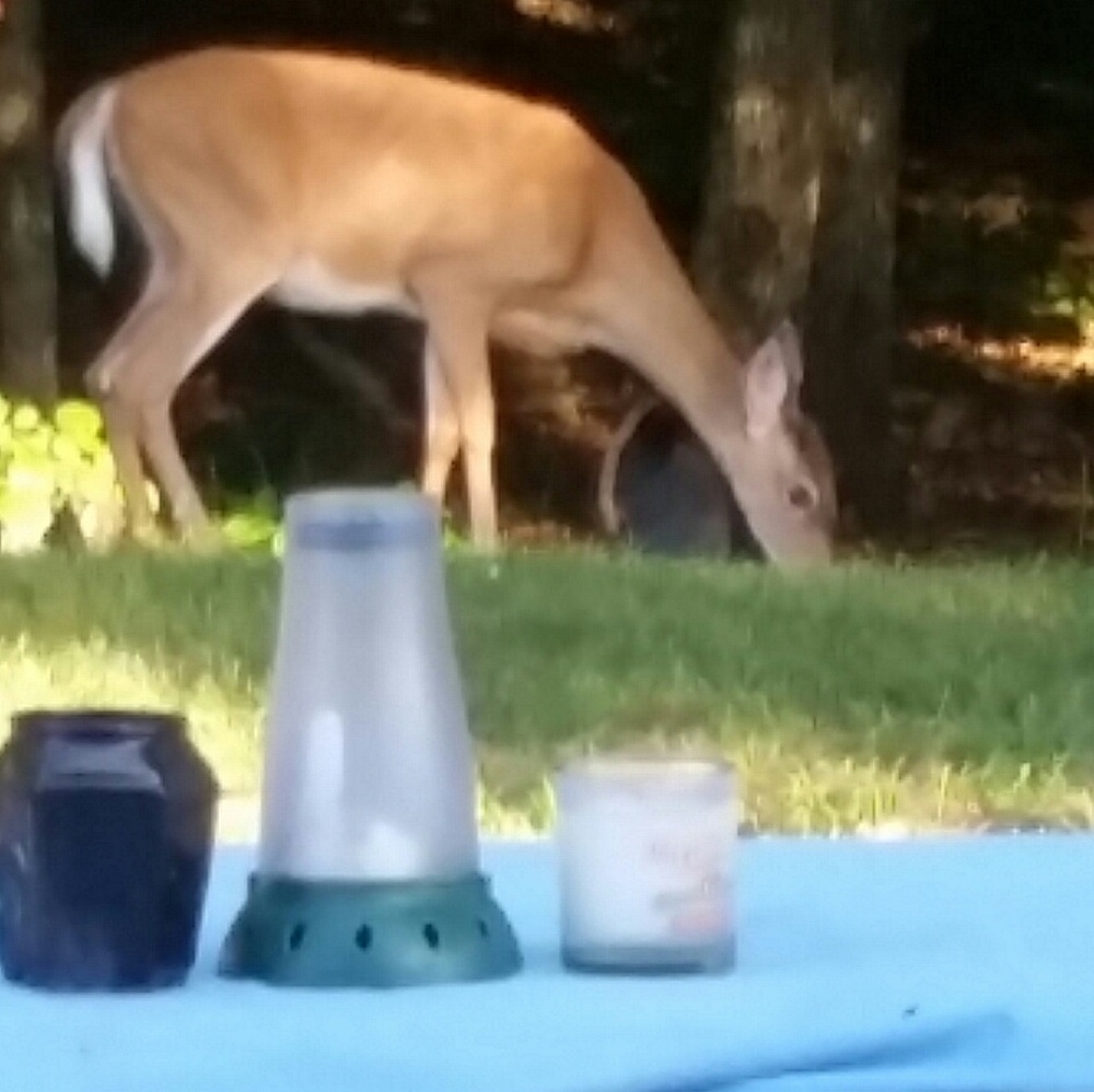 Meet your Posher, Karen